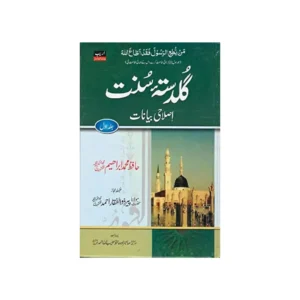 Guldasta E Sunnat Vol 1 Maulana Peer Zulfeqar Ahmad Naqsh Bandi Areeb Urdu